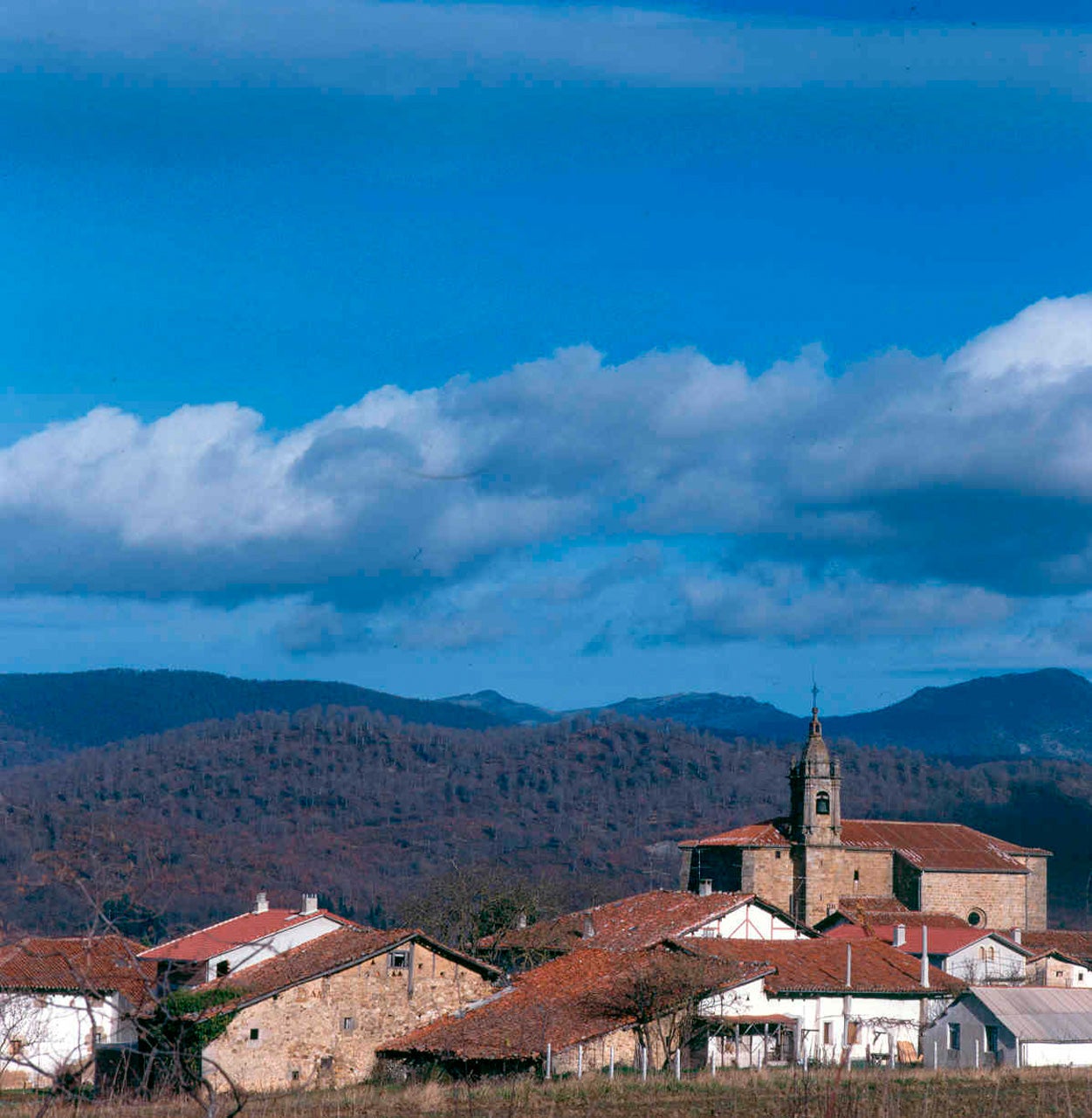 Iturmendi (Navarra) Planes e información turística Guía Repsol