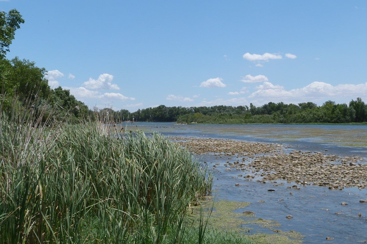 El Burgo de Ebro