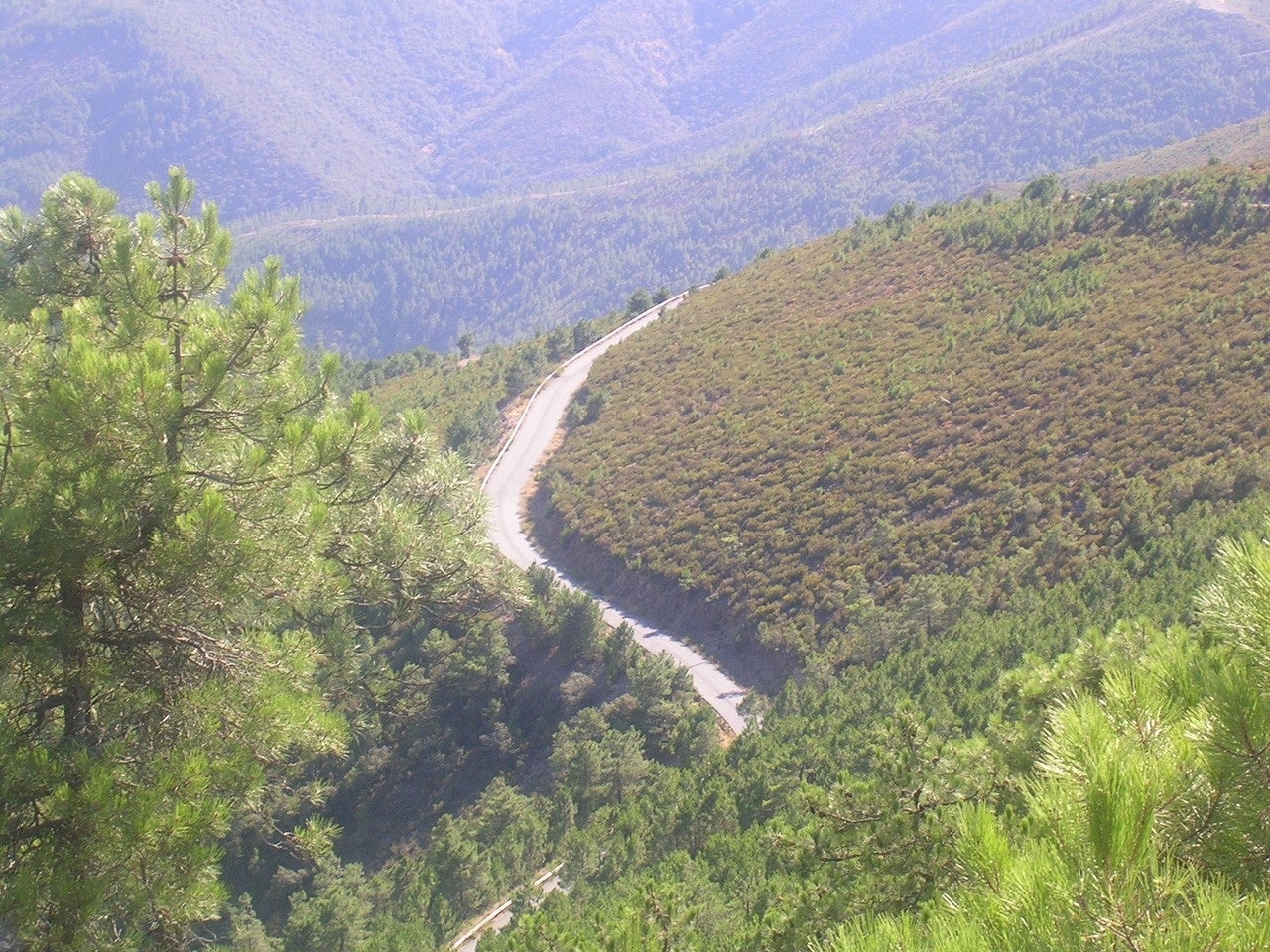 Navarredonda de la Rinconada