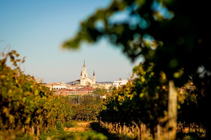 Vista panorámica de Vilafranca del Penedès y sus viñedos. Foto Ayuntamiento de Vilafranca del Penedés