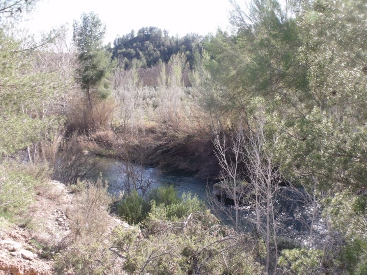 Hoces del Cabriel, cercanas a Valdemorillo de la Sierra. Foto: 19Tarrestnom65 vía Wikipedia
