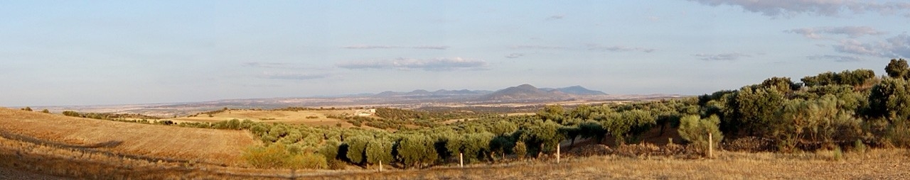 La Estrella