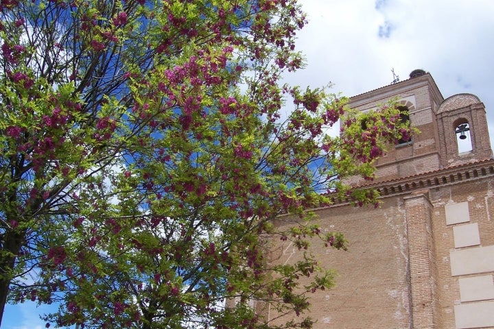 Exterior de la Iglesia de Santa María de la Asunción de Ventosa de la cuesta. Foto: Lourdes Cardenal vía Wikipedia / CC BY-SA.