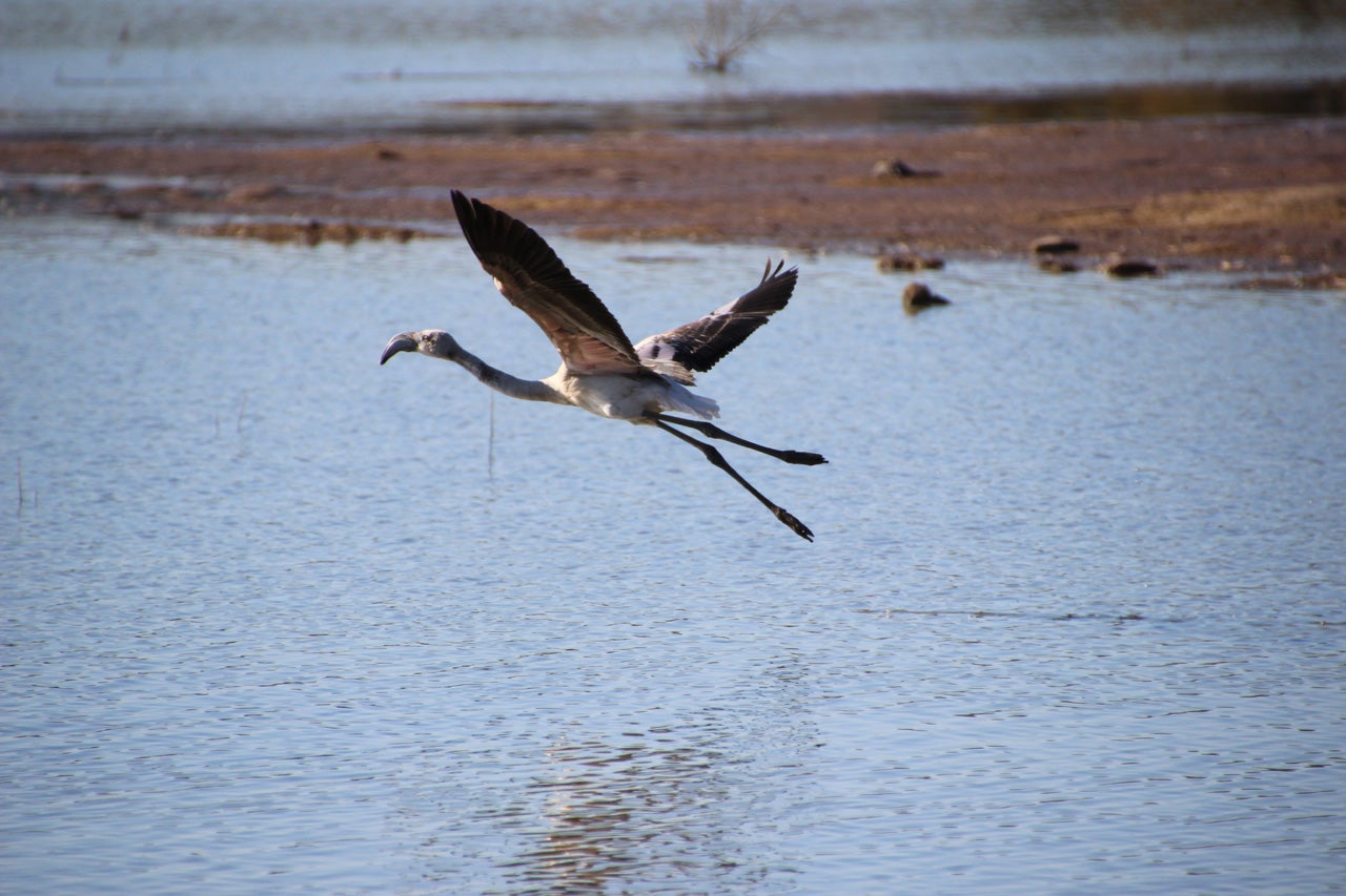 Martín de la Jara (Sevilla) Planes e información turística Guía Repsol