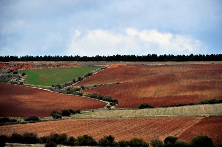 Castroserracín se encuentra dentro de las Tierras de Sepúlveda. Foto: Aagay vía Visualhunt.com / CC BY-SA.