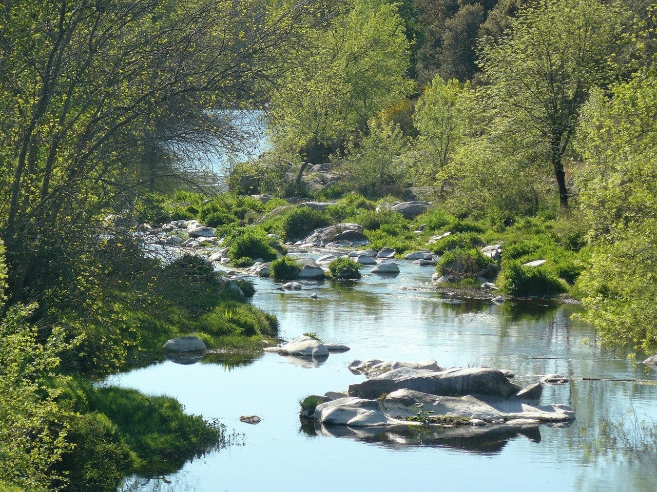Cardiel de los Montes