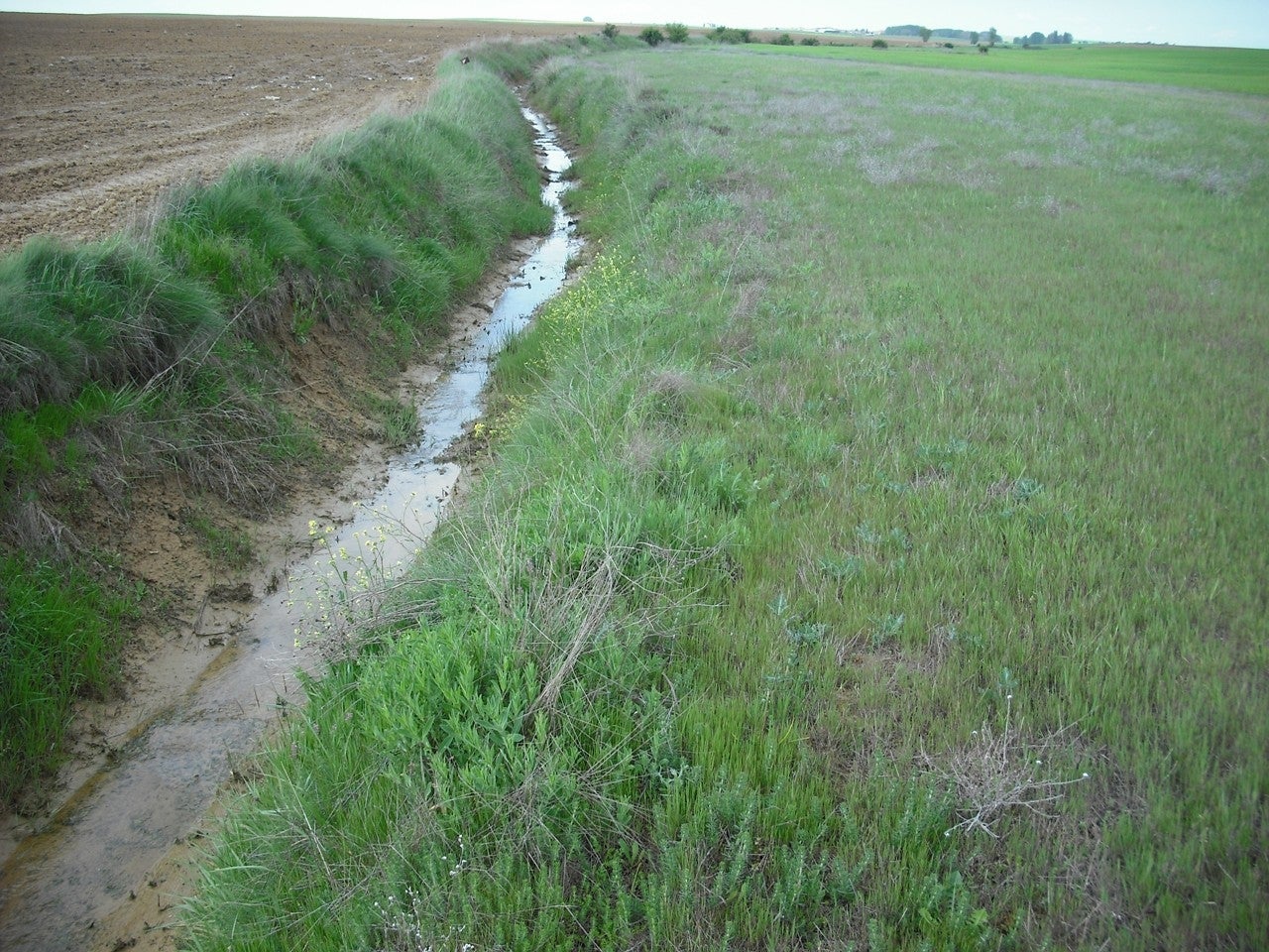 Quintanilla del Monte