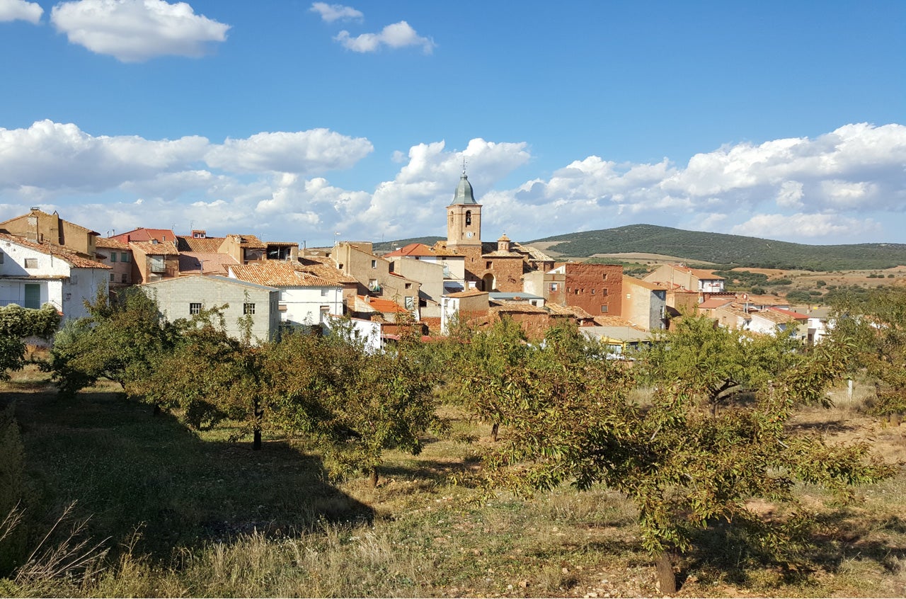 Foto de Tinos Clarés de Ribota en Clarés de Ribota, Zaragoza