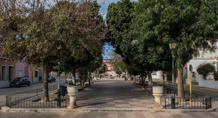 Paseo de Colón de Polinyà de Xúquer. Fotografía: Vicenç Salvador Torres Guerola vía Wikipedia / CC BY-SA.