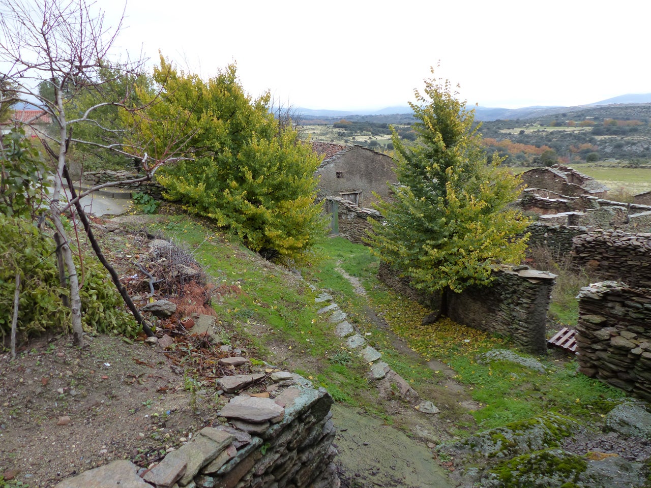 Foto de PARQUE DE LAS BARBACOAS en Zarzuela de Jadraque, Guadalajara