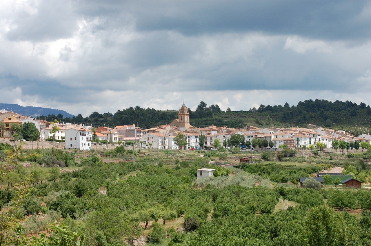 Zucaina
