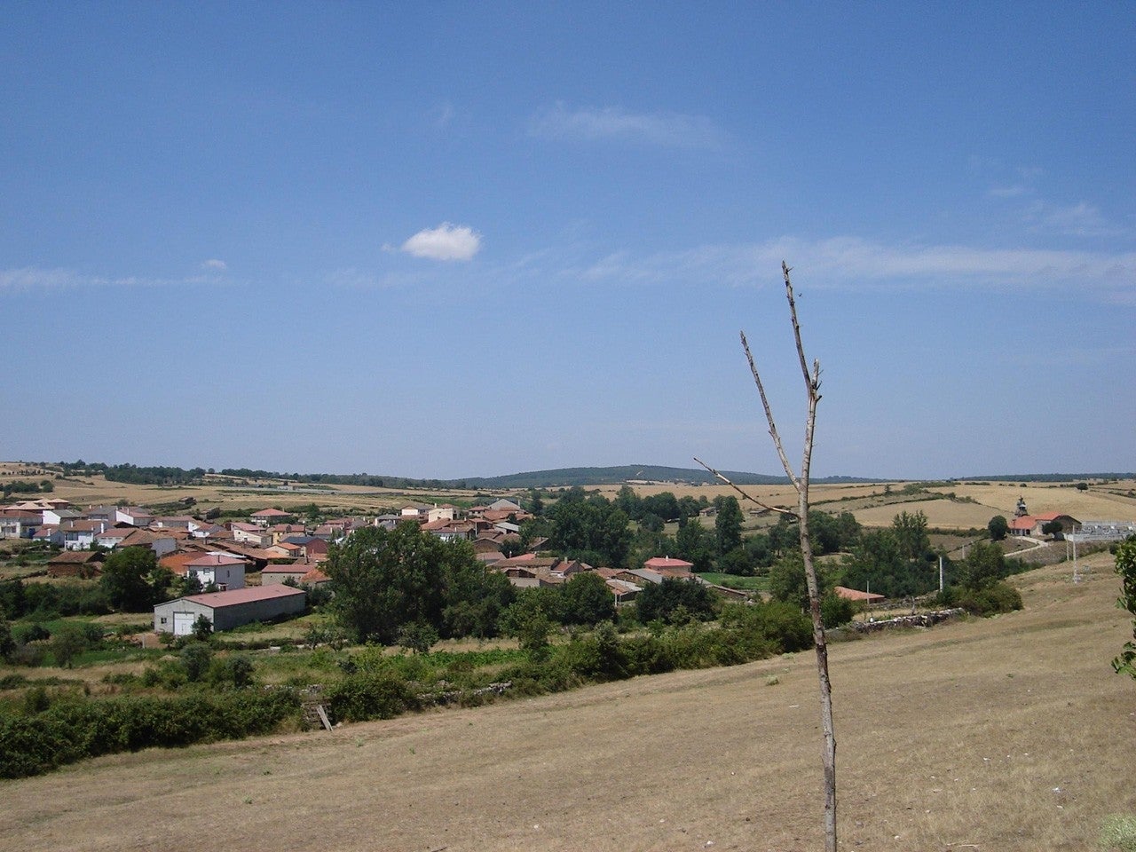 Samir de los Caños