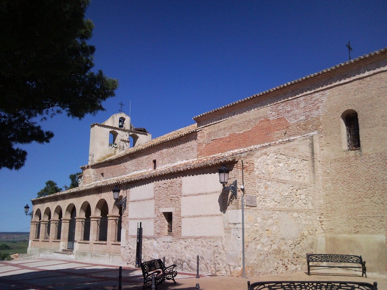 Tórtola de Henares