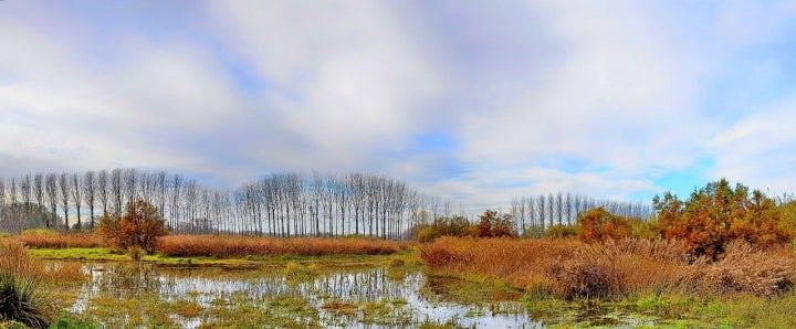 Aiguamolls de Rufea. Foto Manuel Portero via Wikipedia