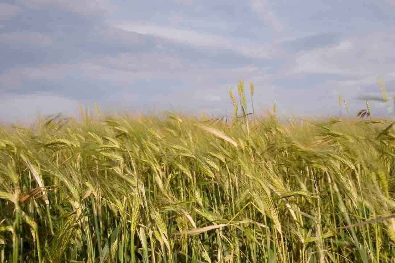 Juarros de Riomoros