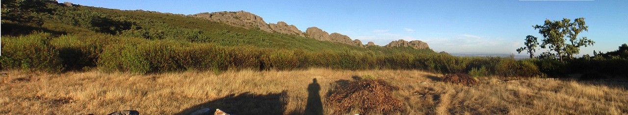 Berzocana