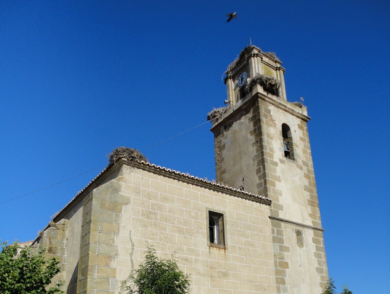 Villa del Rey