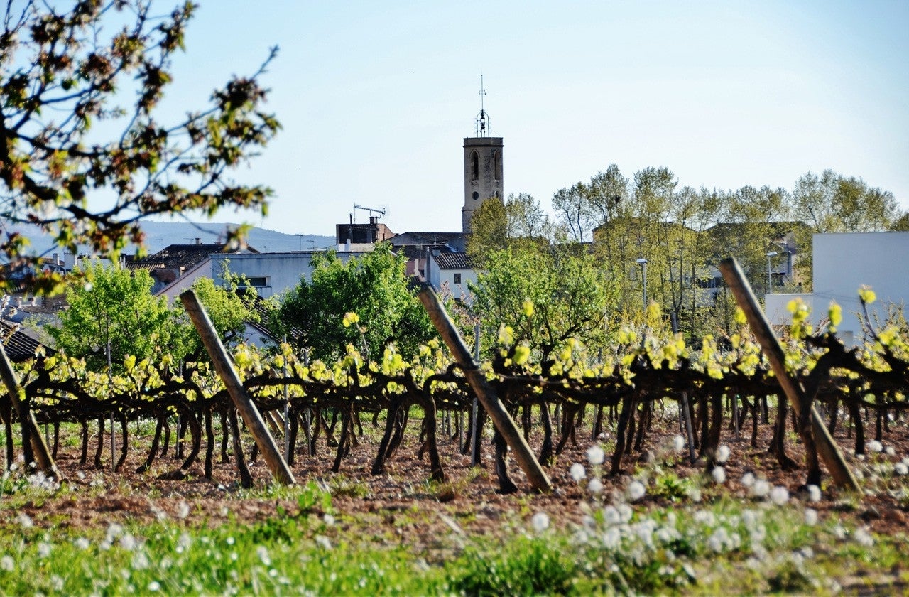 Sant Cugat Sesgarrigues
