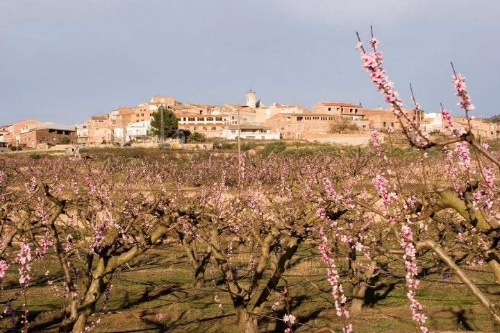 Los alrededores de La Torre de l'Espanyol cuentan con una ruta circular para pasear. Foto: Patronat de Turisme Terres de l'Ebre Diputaciò de Tarragona