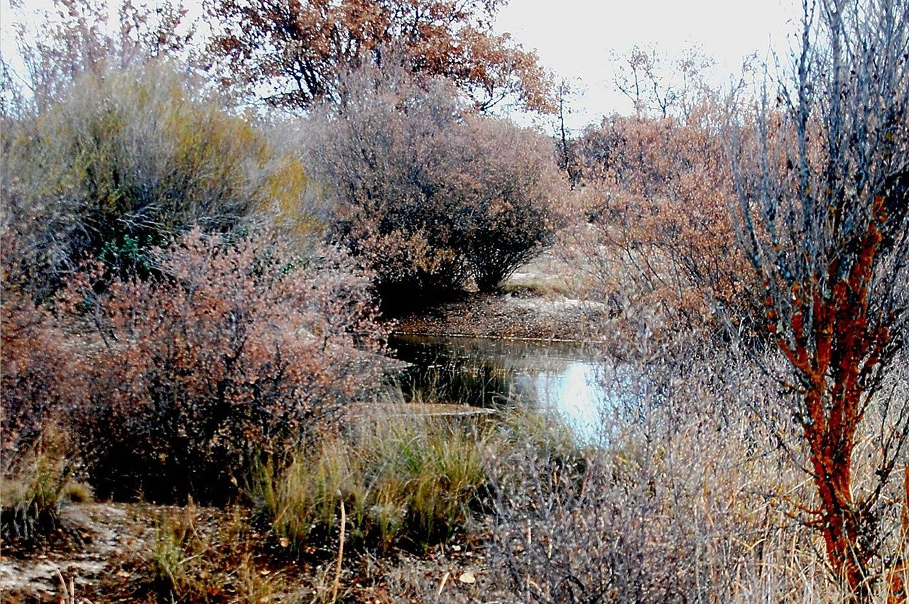 Torrecuadradilla