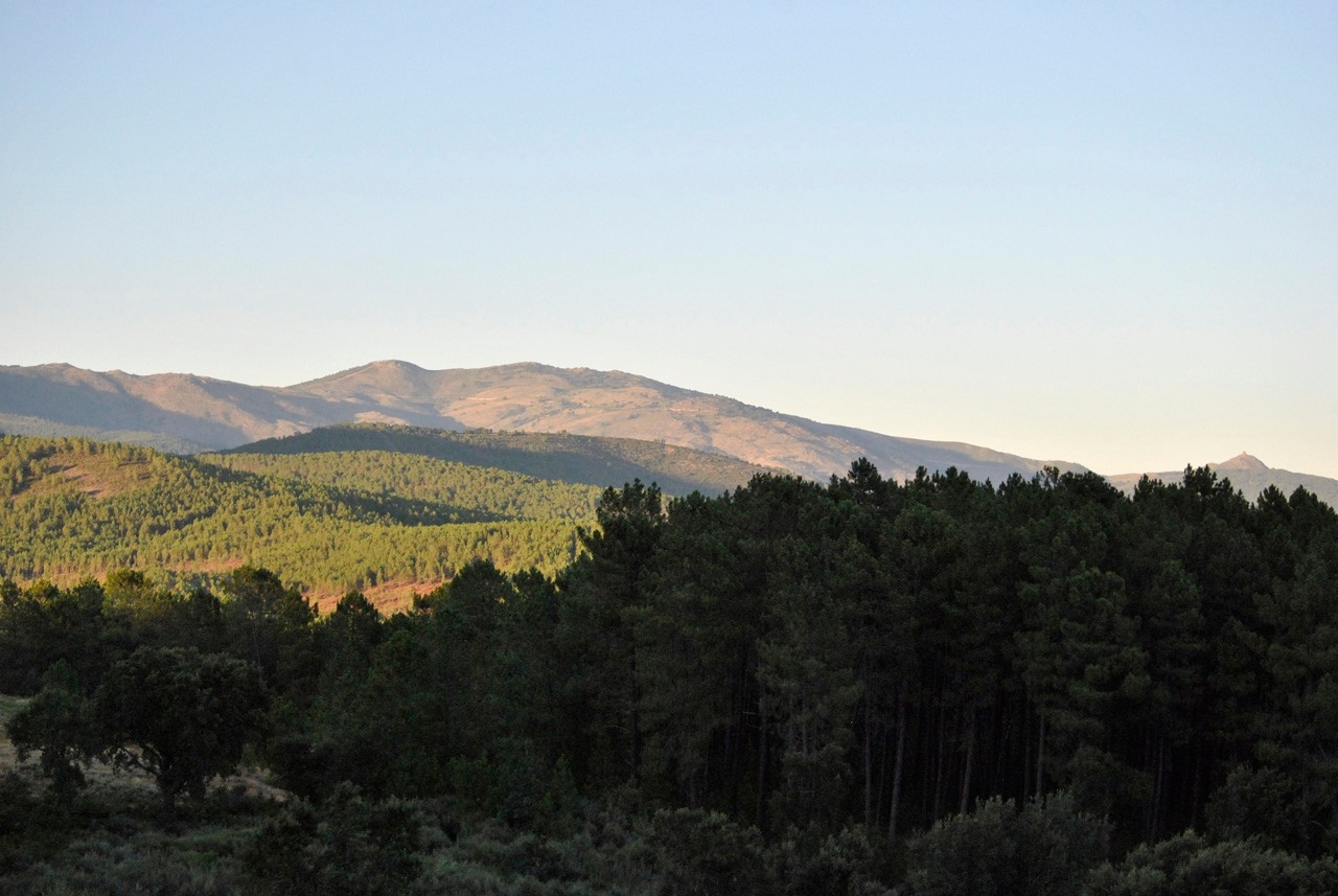 Ituero de Azaba
