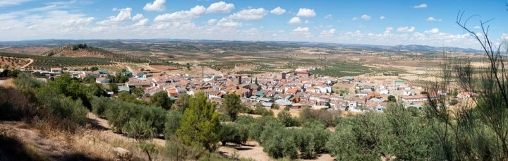 El cultivo ecológico del olivar es uno de los motores de la economía de Génave. Fotografía: Cortesía de la Diputación de Jaén.