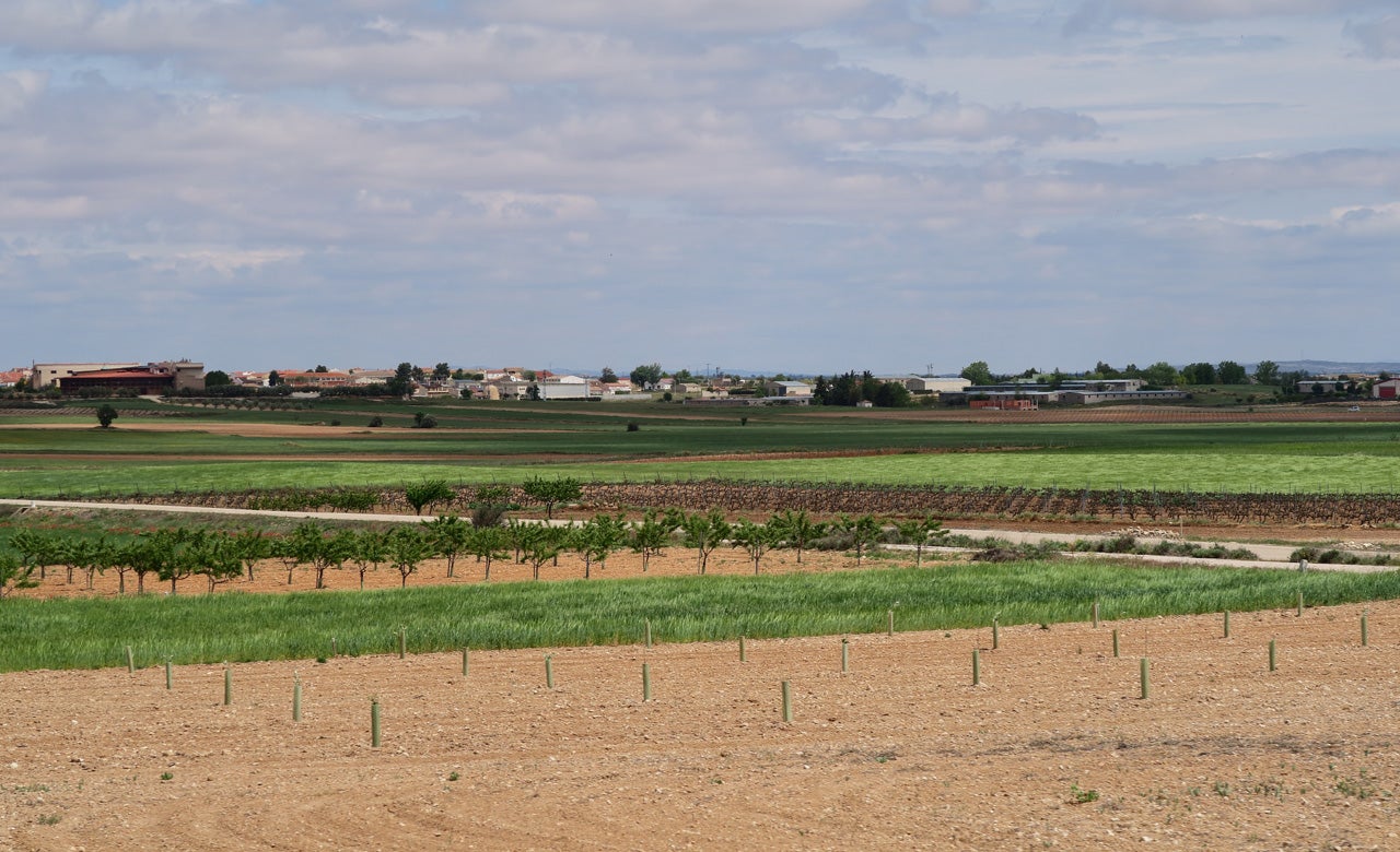 Valdeganga (Albacete) Planes e información turística Guía Repsol