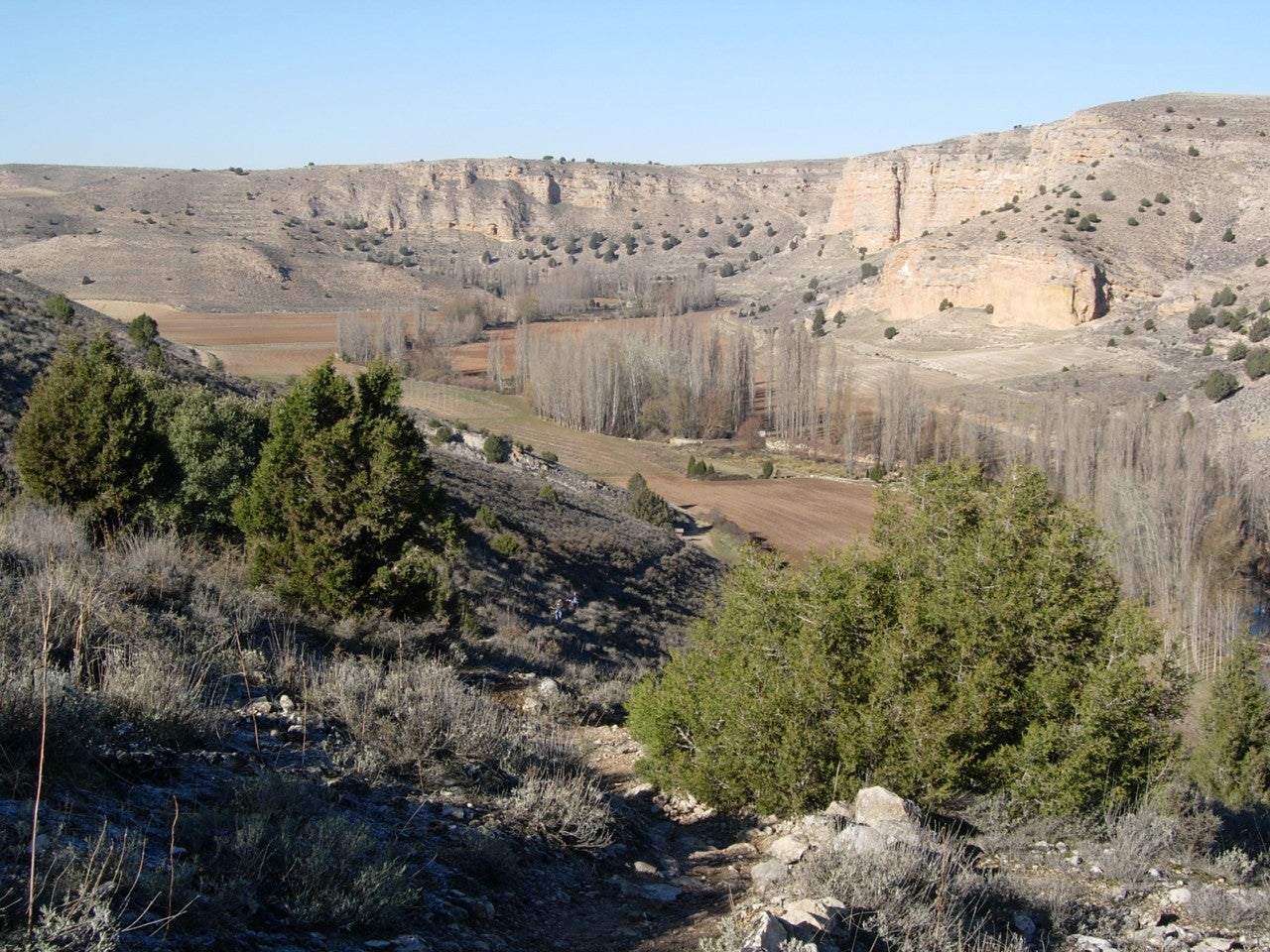 Valdevacas de Montejo