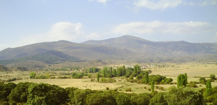 Dehesa de Los Narros del Puerto. Foto: Ulaque vía Wikipedia / CC BY-SA