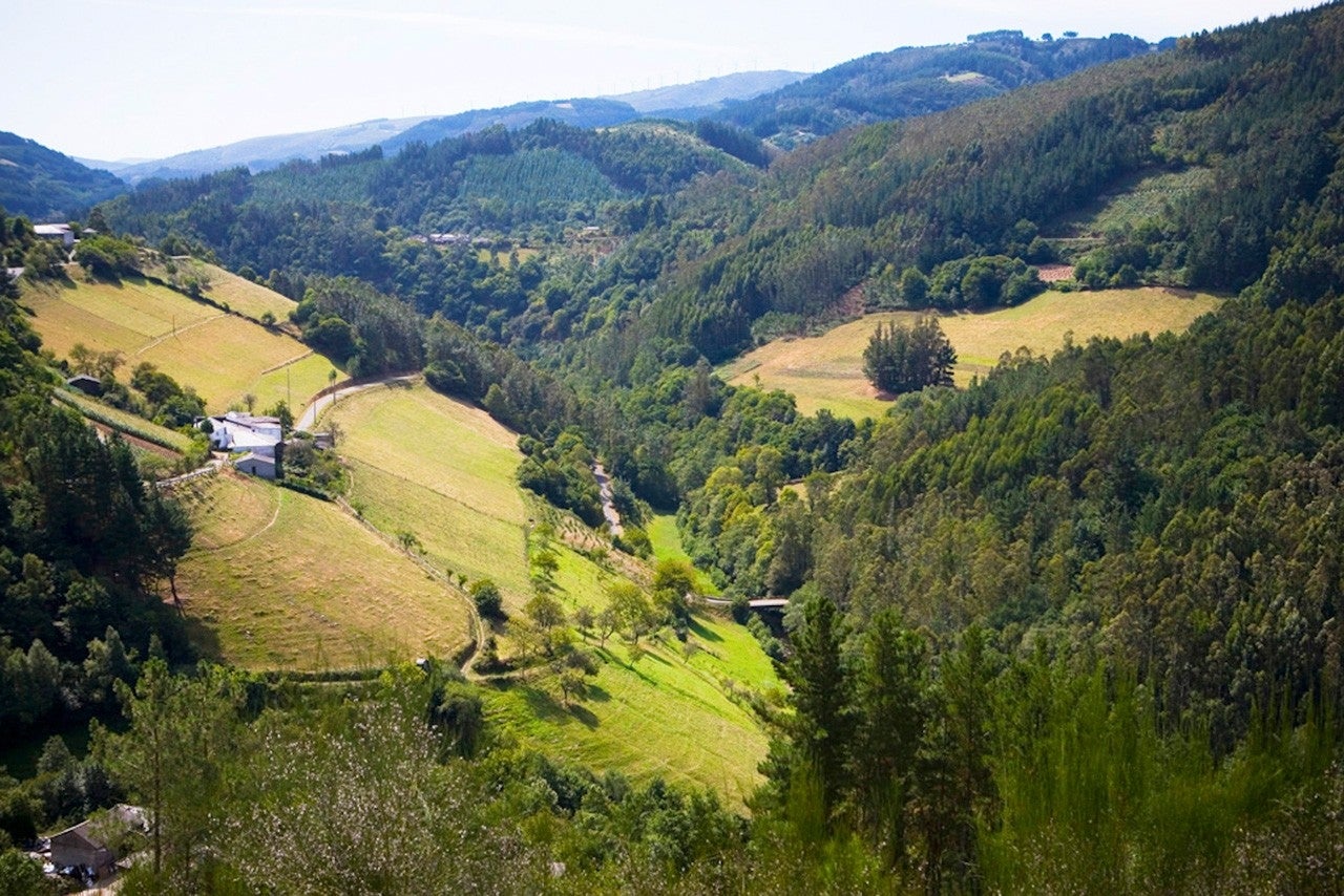Ribeira de Piquín