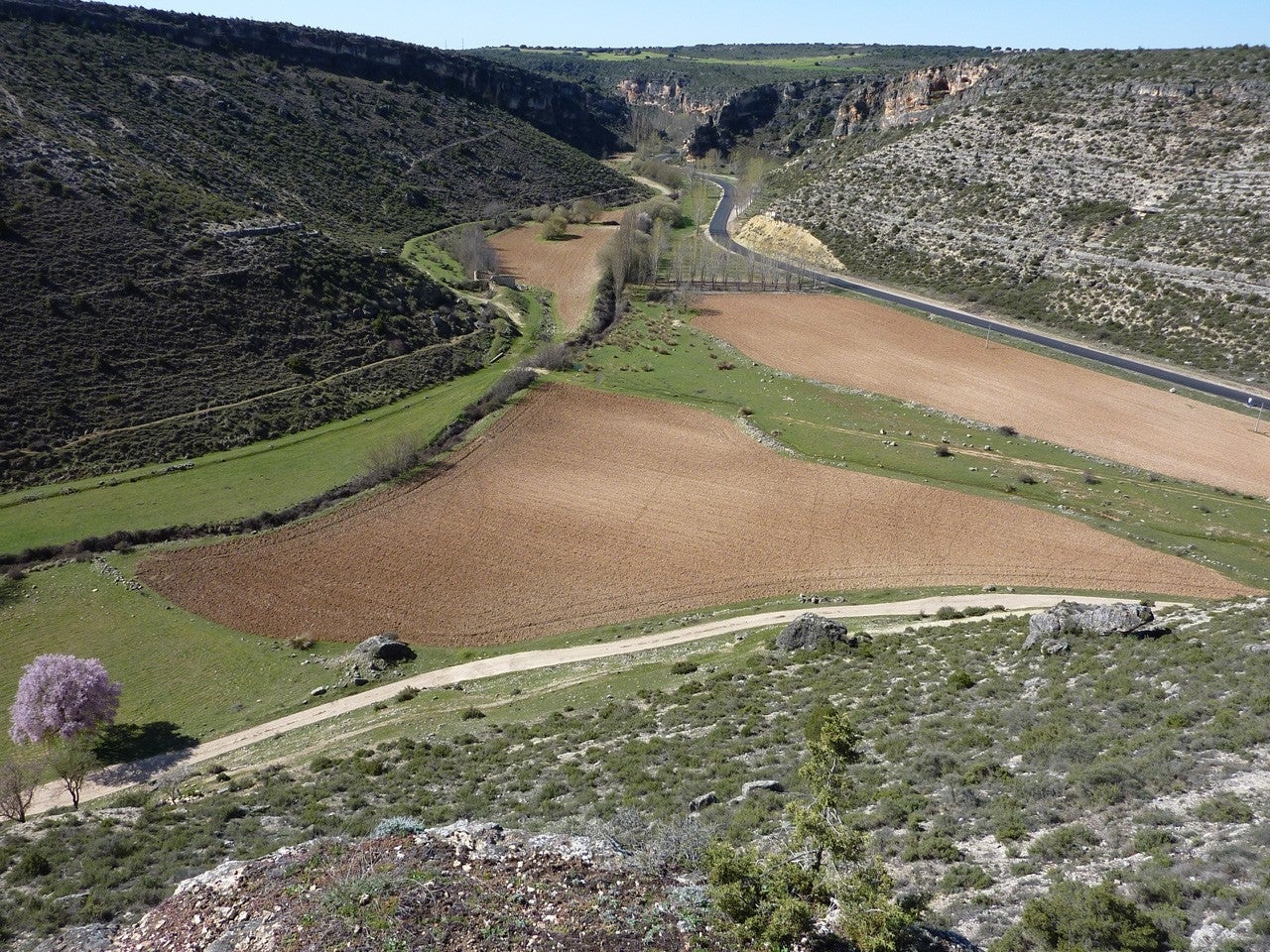 La Parra de las Vegas