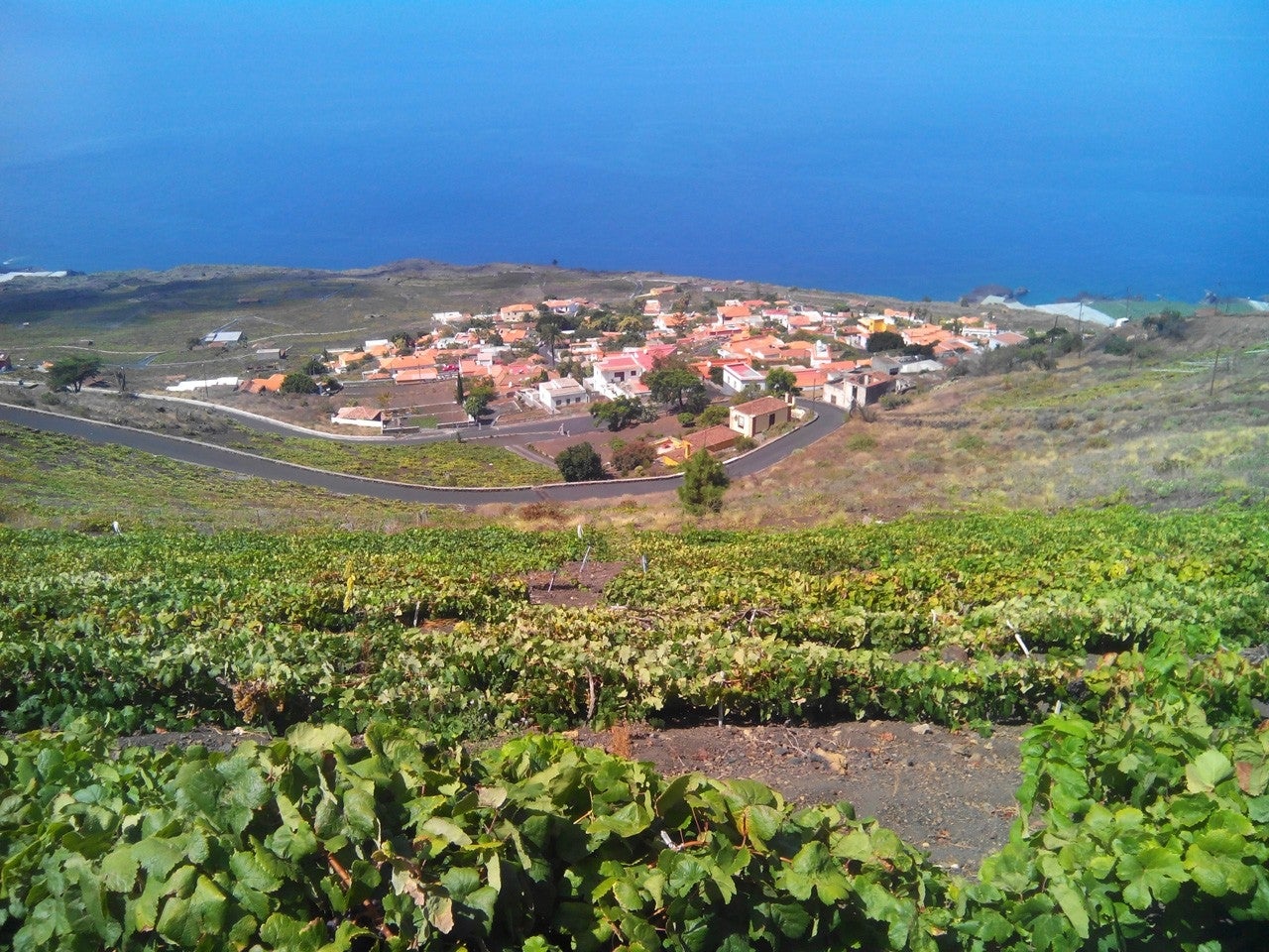 Fuencaliente de la Palma