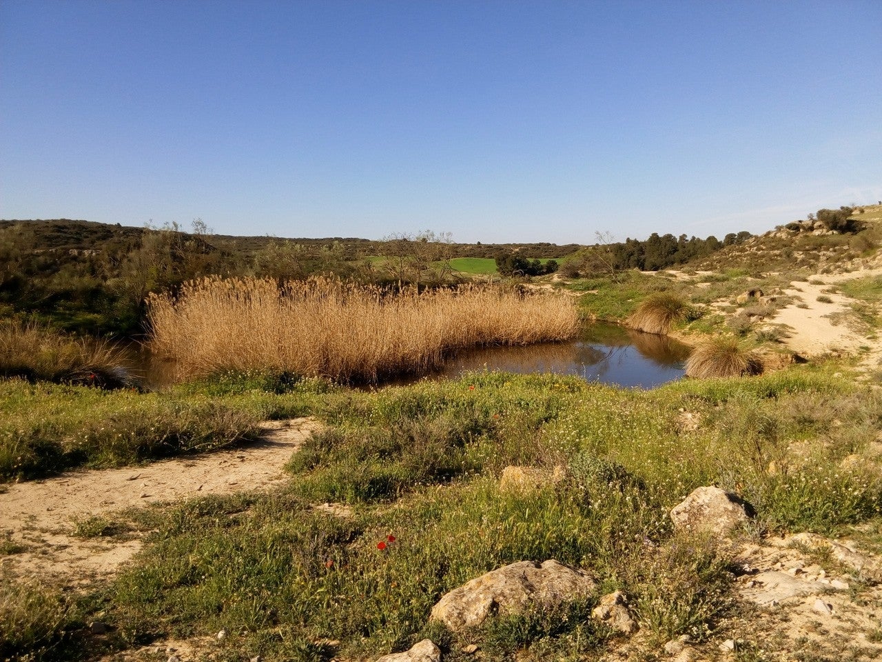 Puigverd de Lleida