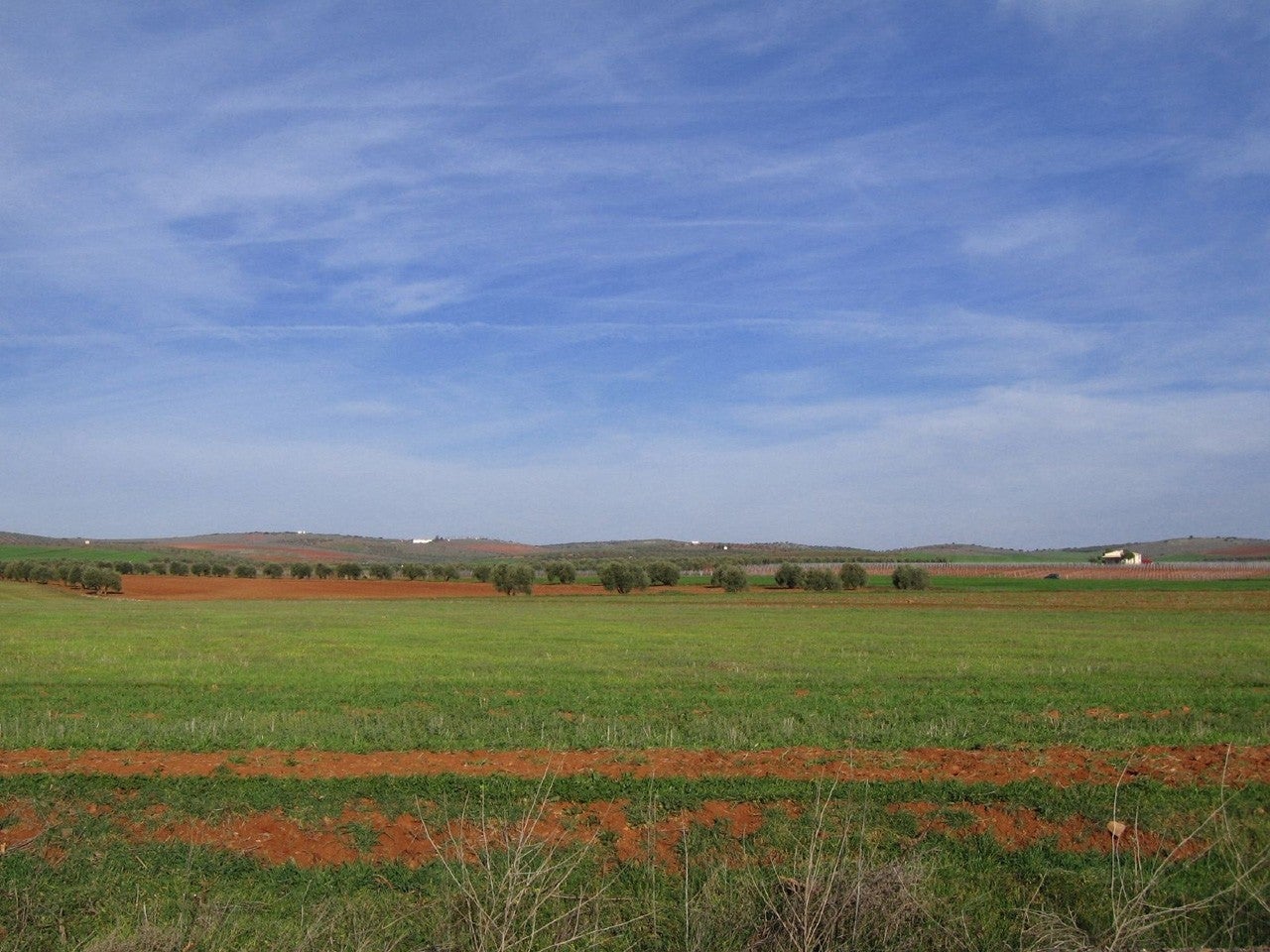 Puebla del Príncipe