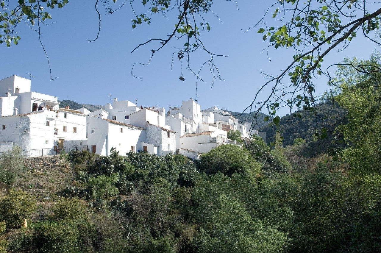 Salares
