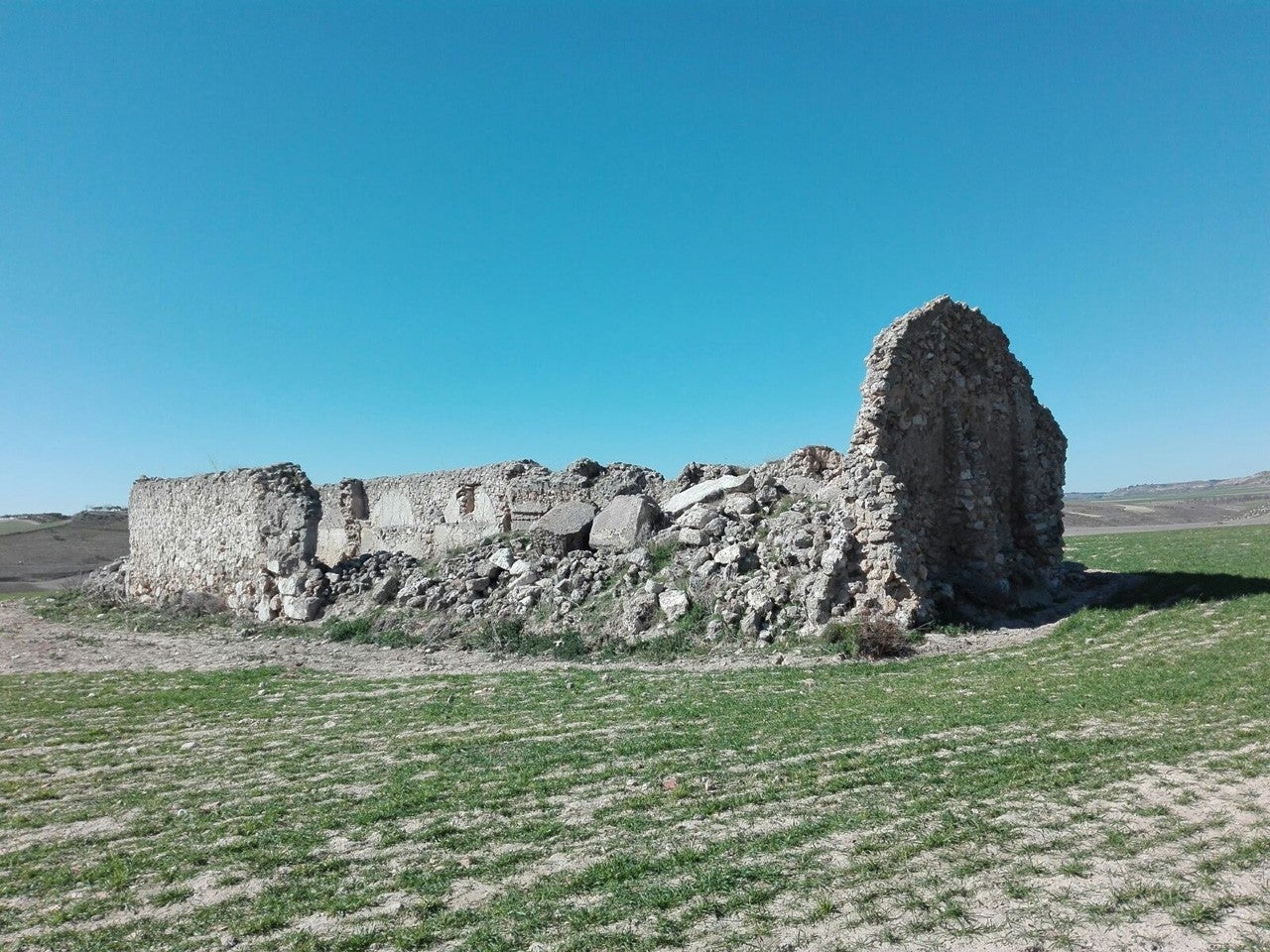 Driebes