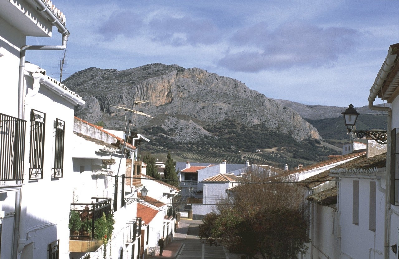 Alfarnate