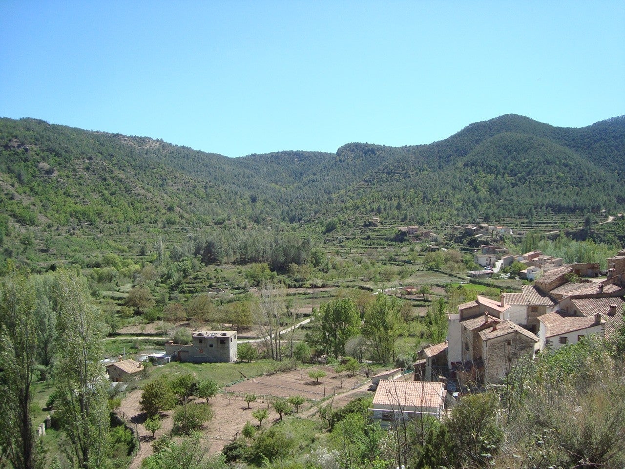 Olba
