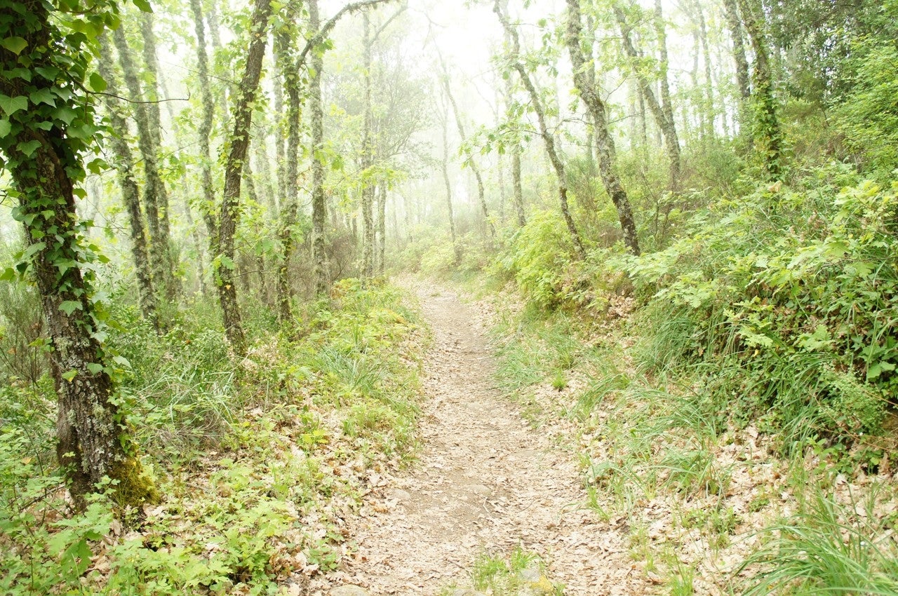 Sanchón de la Sagrada