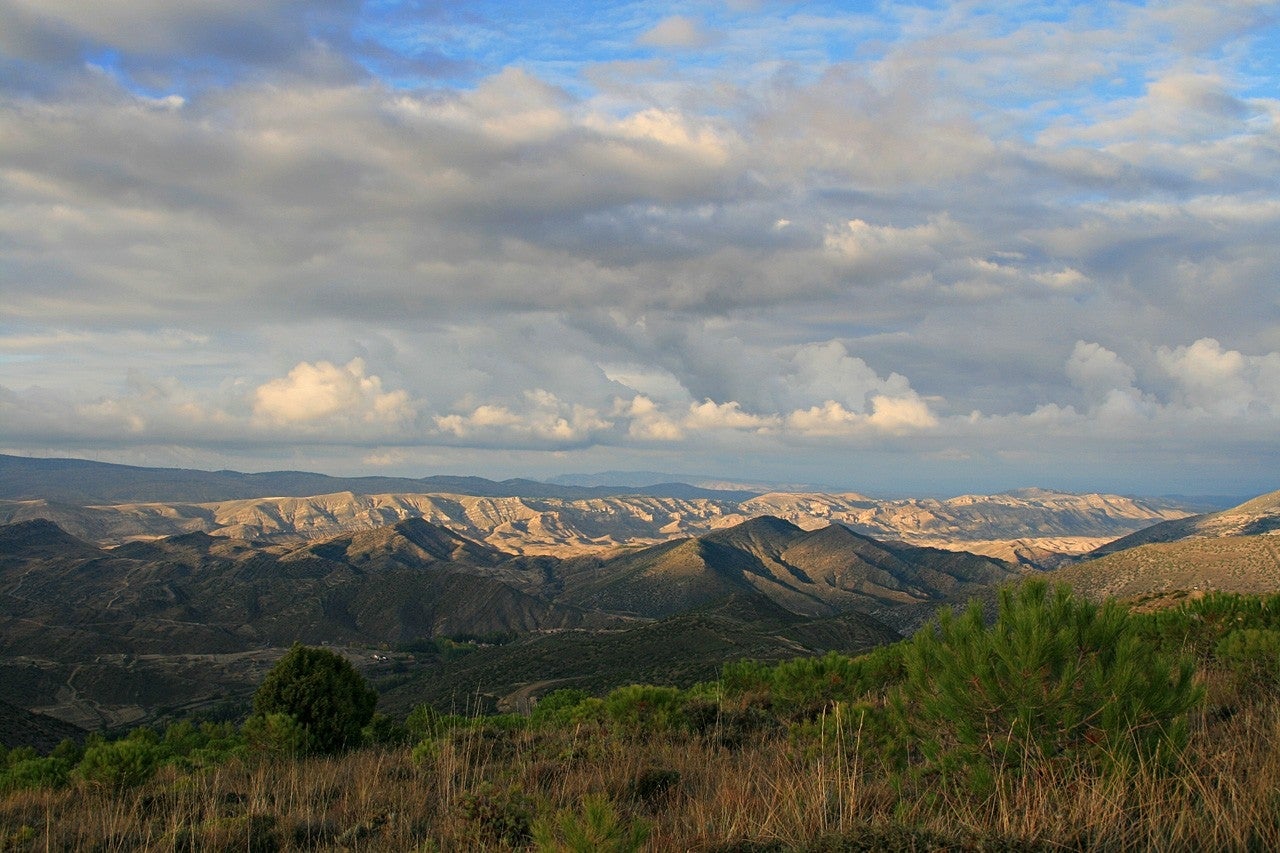 Villarroya