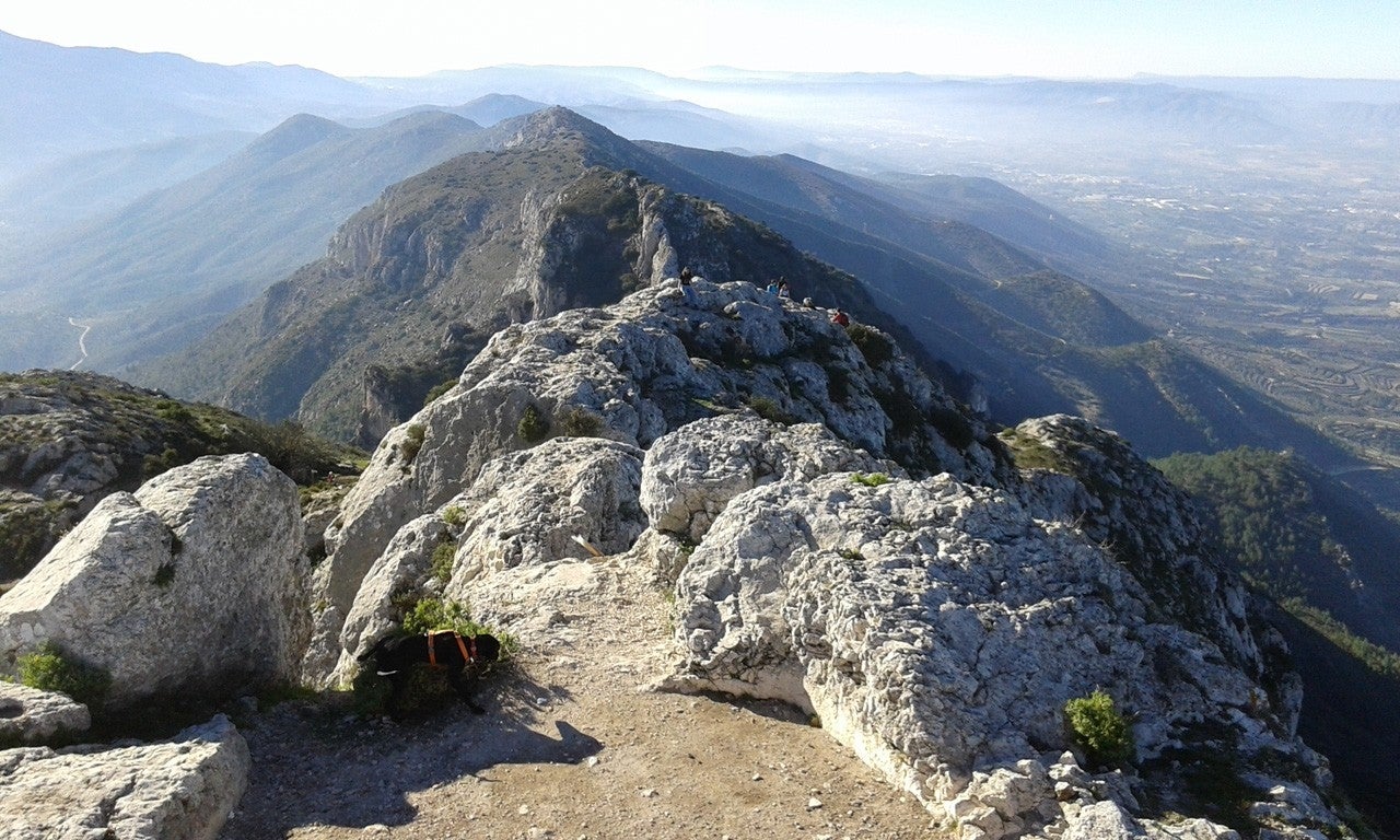 Beniatjar
