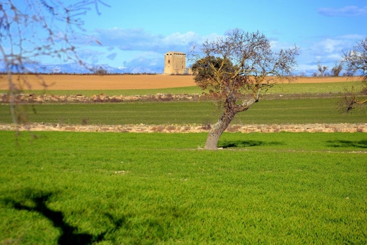 Campos de Segarra y Torre de Carlos. Foto: Angela Llop vía Visual Hunt