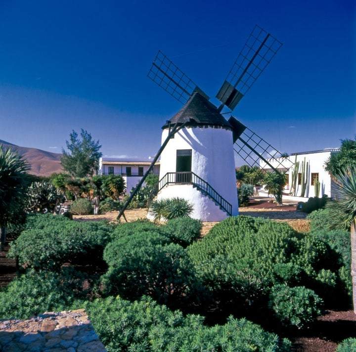 Uno de los tradicionales molinos de Antigua. Foto: Archivo Gráfico Patronato de Turismo de Fuerteventura.