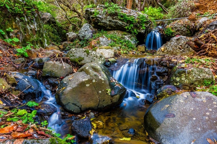 Barranco de la Mina a su paso por Las Lagunetas.Vega de san Mateo.Gran Canaria.