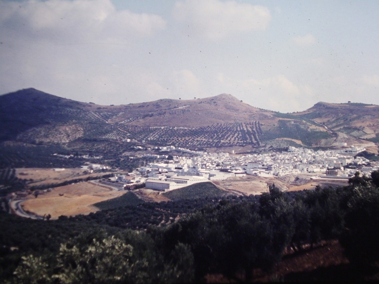 Doña Mencía