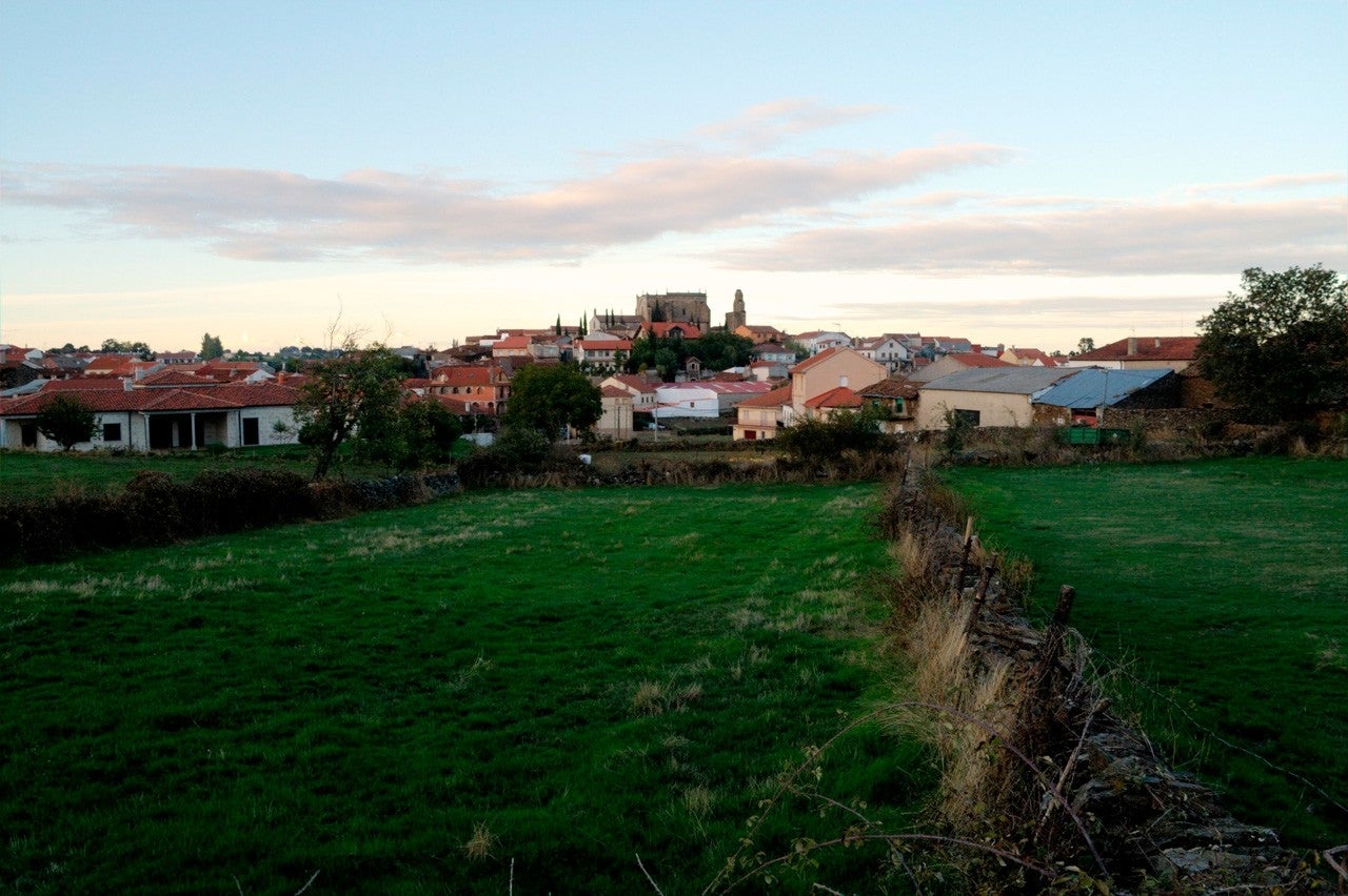 Robleda