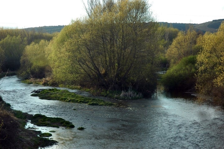 Nacimiento del río Órbigo, en Secarejo, perteneciente al municipio de Cimanes del Tejar. Foto: Sanyerme vía Wikipedia
