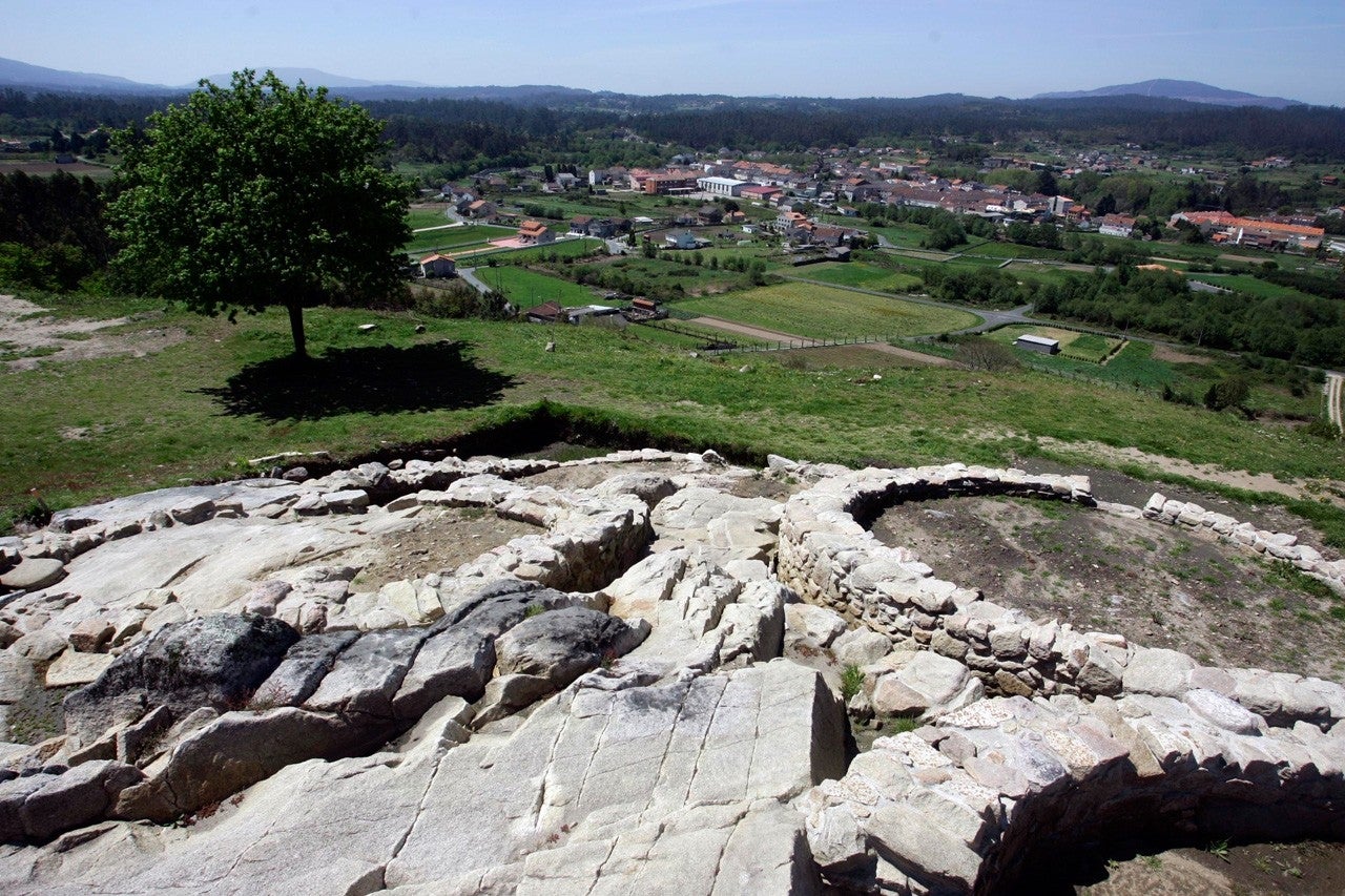 Cuntis
