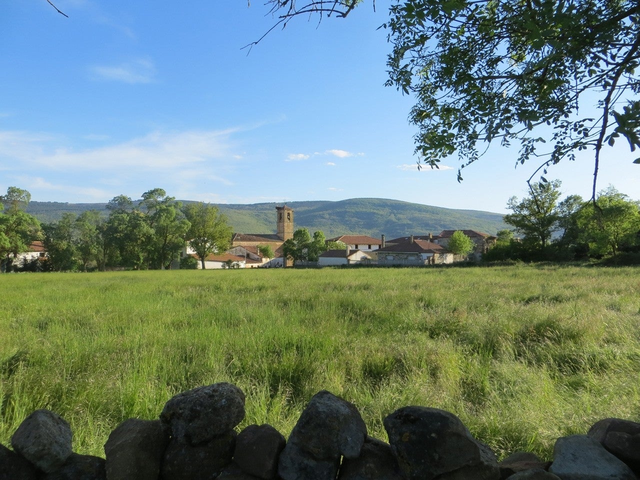 Valdeavellano de Tera