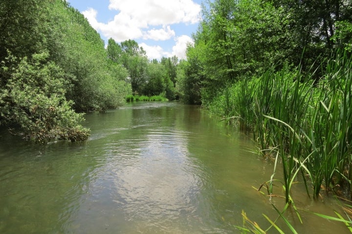 Este municipio leonés se encuentra en una zona ubicada en la ribera del río Cea. Fotografía: Víctor Salvador Vilariño vía Wikipedia / CC BY-SA.